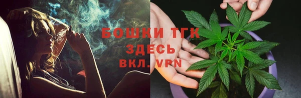 ГАЛЛЮЦИНОГЕННЫЕ ГРИБЫ Покровск