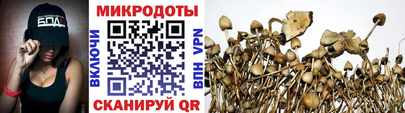 Псилоцибиновые грибы Magic Shrooms  Приморско-Ахтарск 