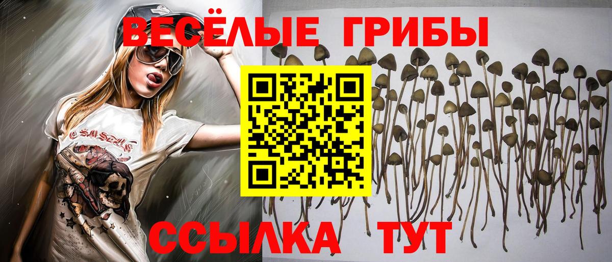 Приморско-Ахтарск  Галлюциногенные грибы прущие грибы  Галлюциногенные грибы Psilocybine cubensis  Вход с VPN 